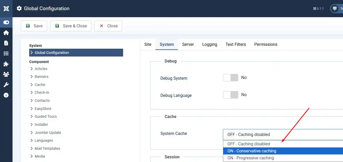 Cache and Gzip Page Compression setting