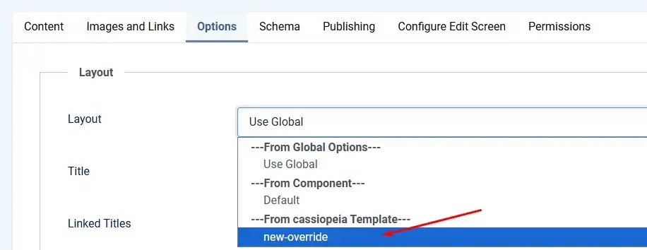 Joomla 6 article Options tab Alternative Layout dropdown with custom layout selected