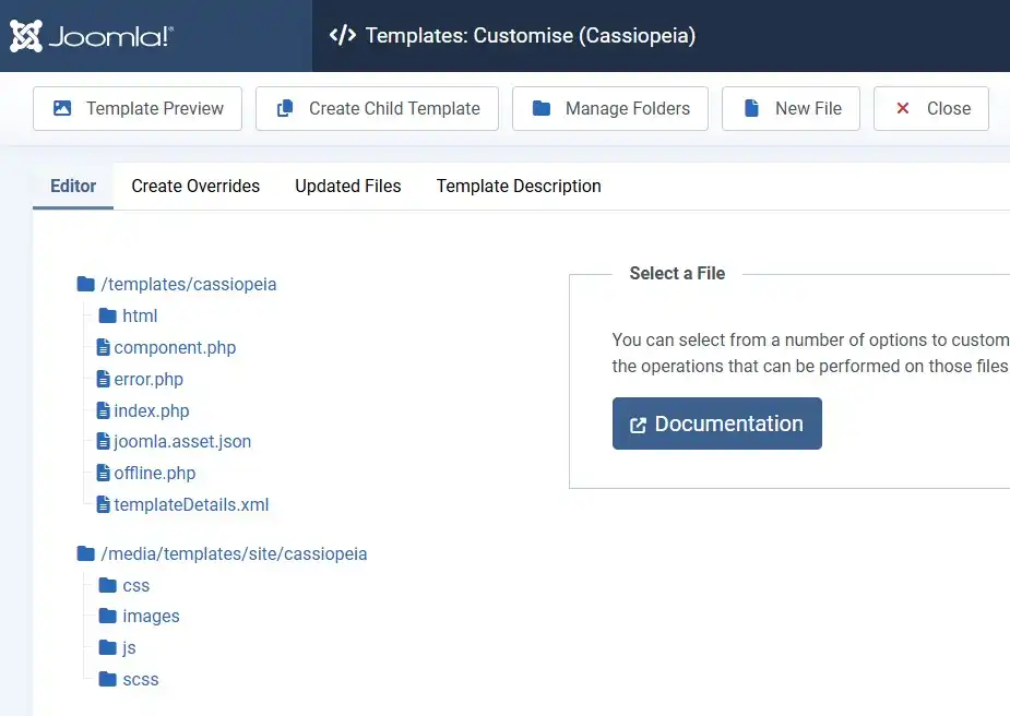 Joomla 6 Template Manager Customise