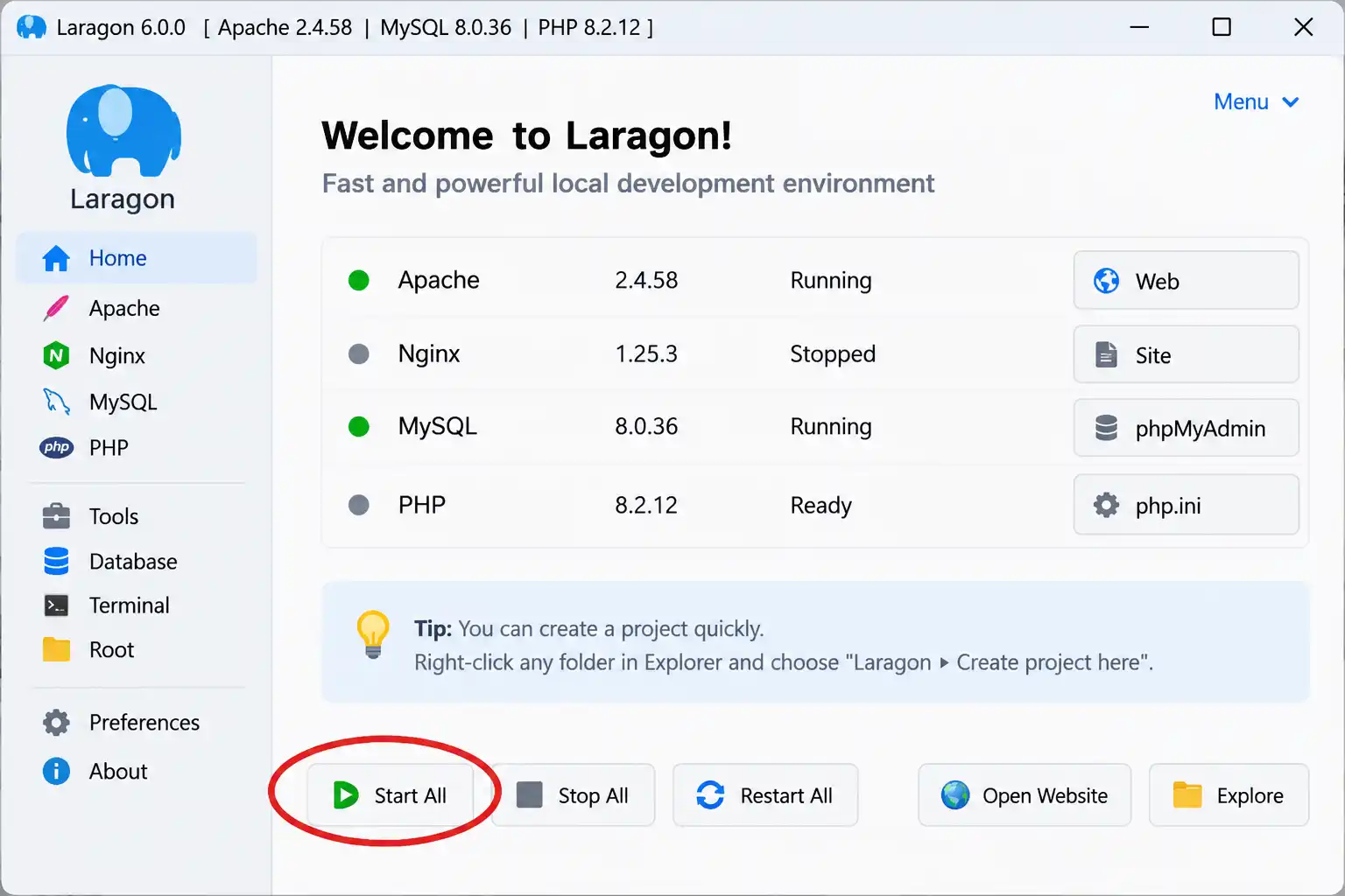 Laragon main window showing the sidebar with Apache, MySQL, and PHP services and the Start All button